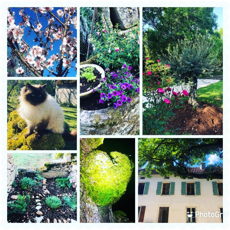 Mas D'Aubrac Bed & Breakfast Limogne-en-Quercy Exterior photo