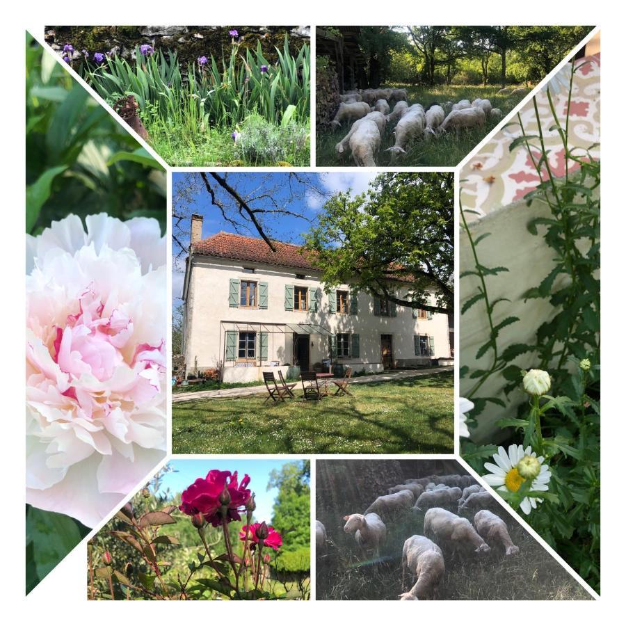 Mas D'Aubrac Bed & Breakfast Limogne-en-Quercy Exterior photo