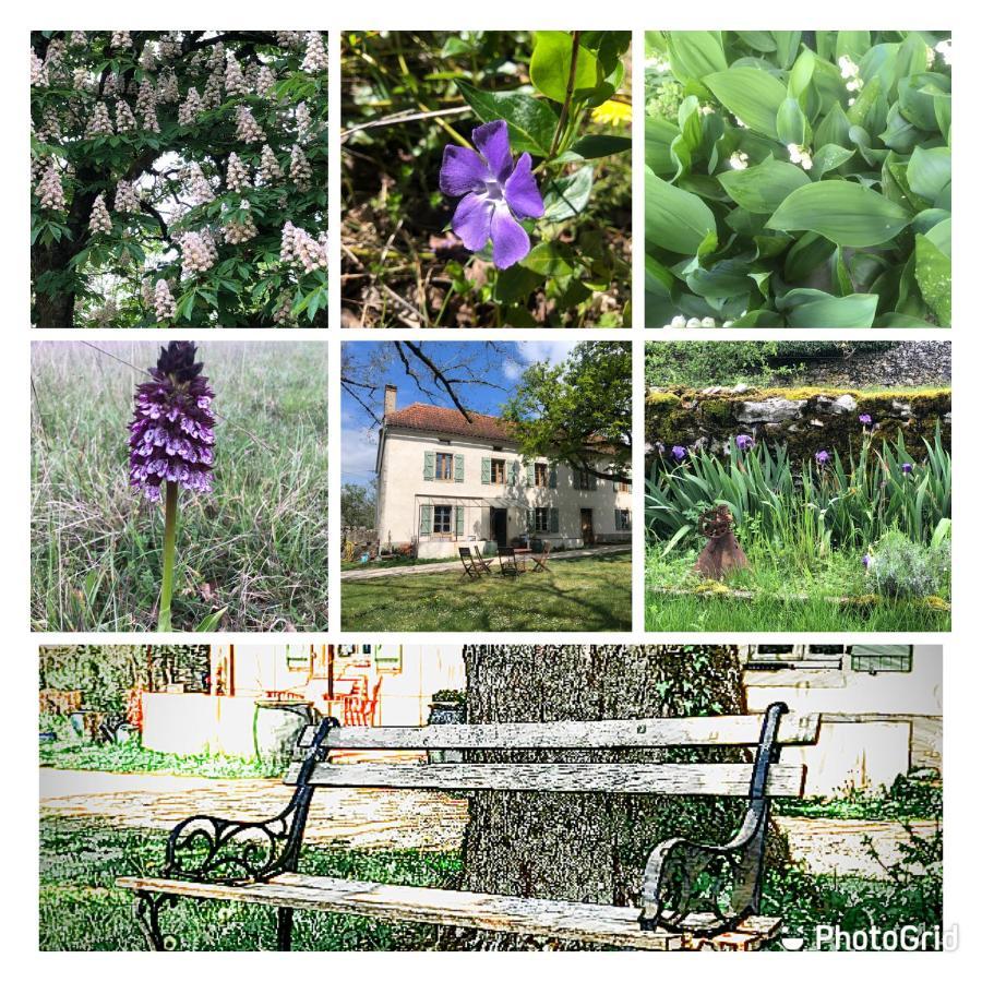 Mas D'Aubrac Bed & Breakfast Limogne-en-Quercy Exterior photo